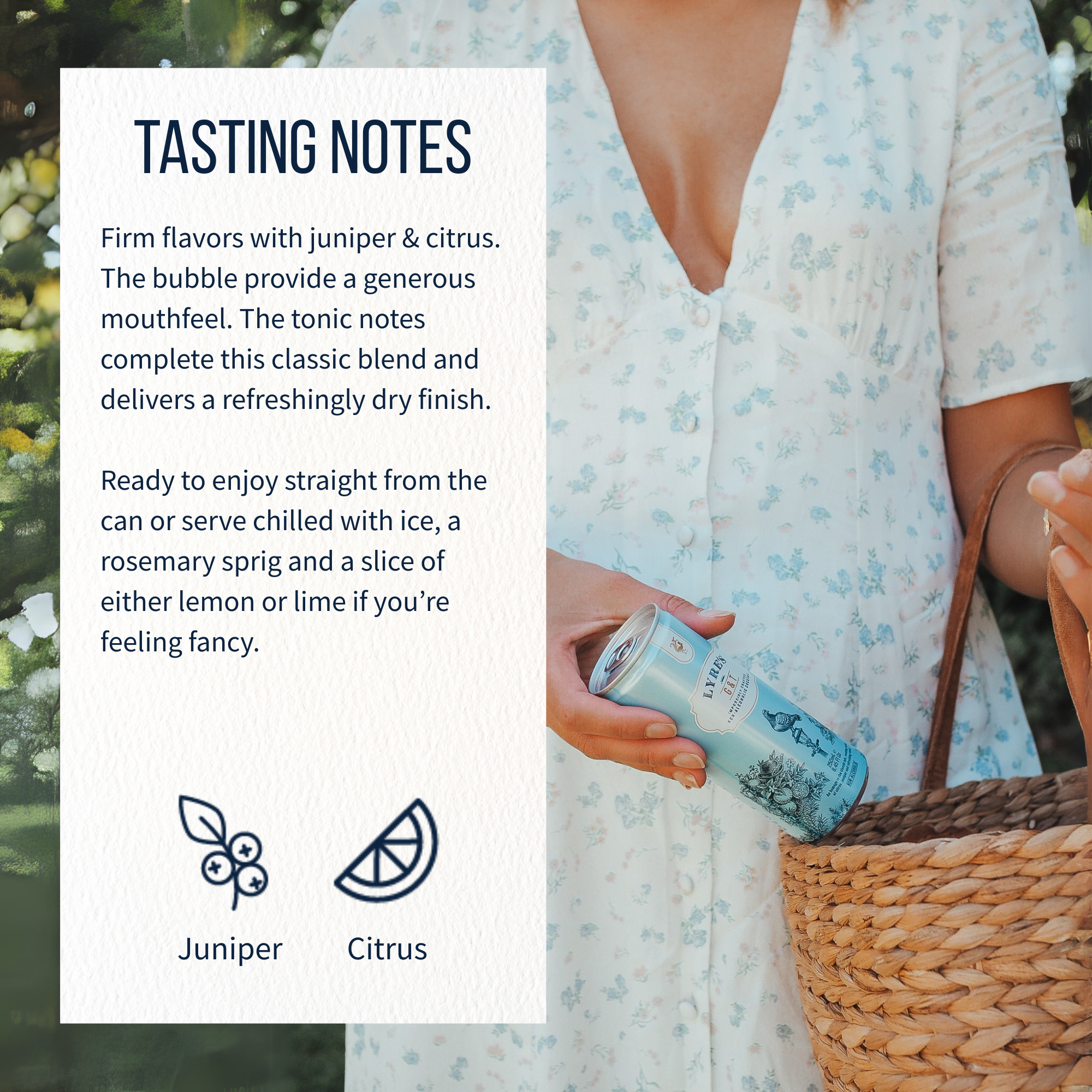 The Classic Cocktail Set