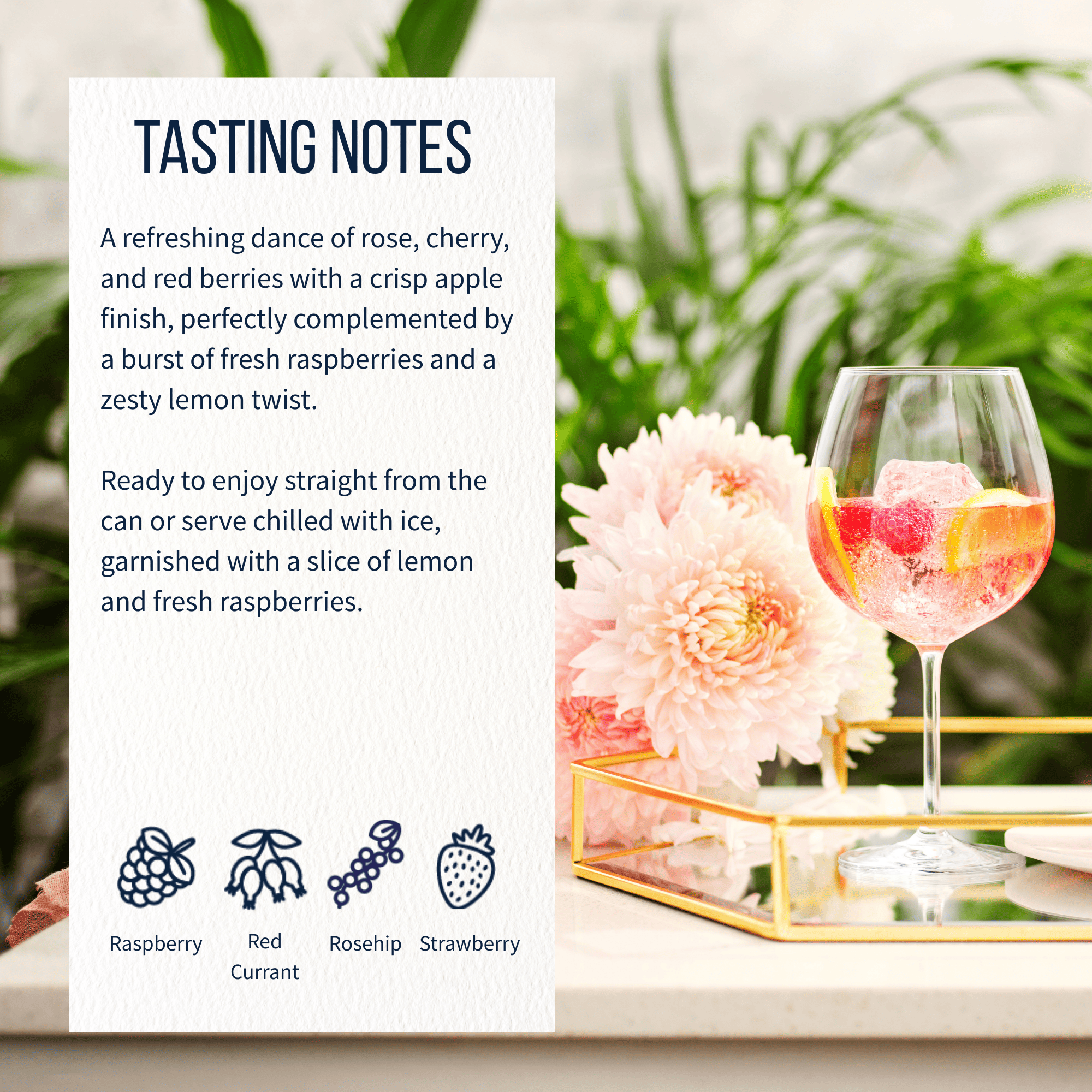 Pink Spritz - Case Of 24