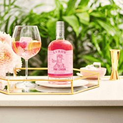 Non-Alcoholic Pink Gin Spritz Recipe | Pink Spritz Mocktail
